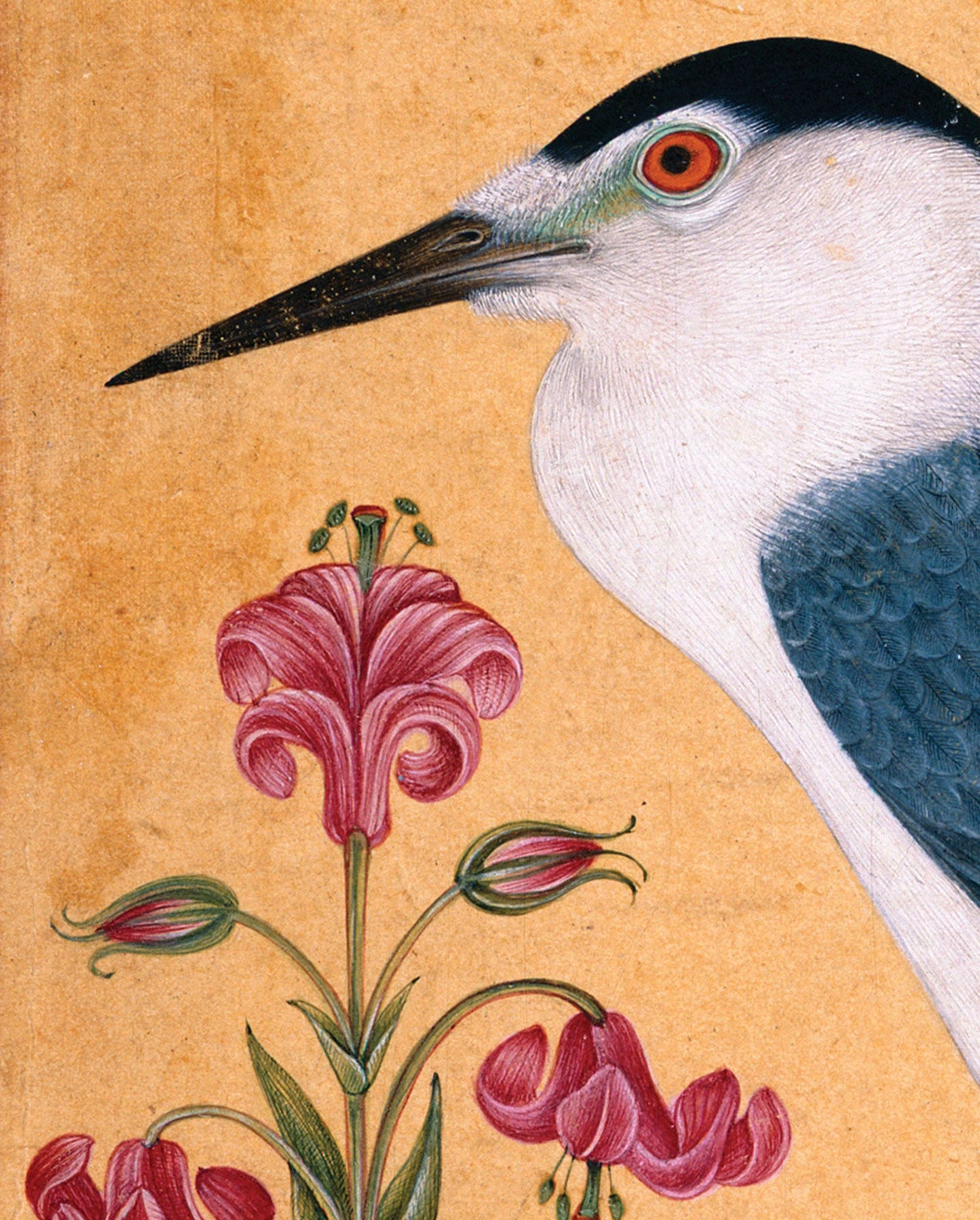 A Night Heron Bookmark