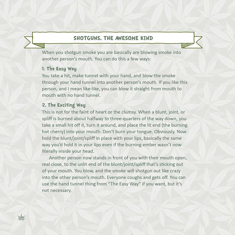 Little Book of Weed Games by Mr. Bud