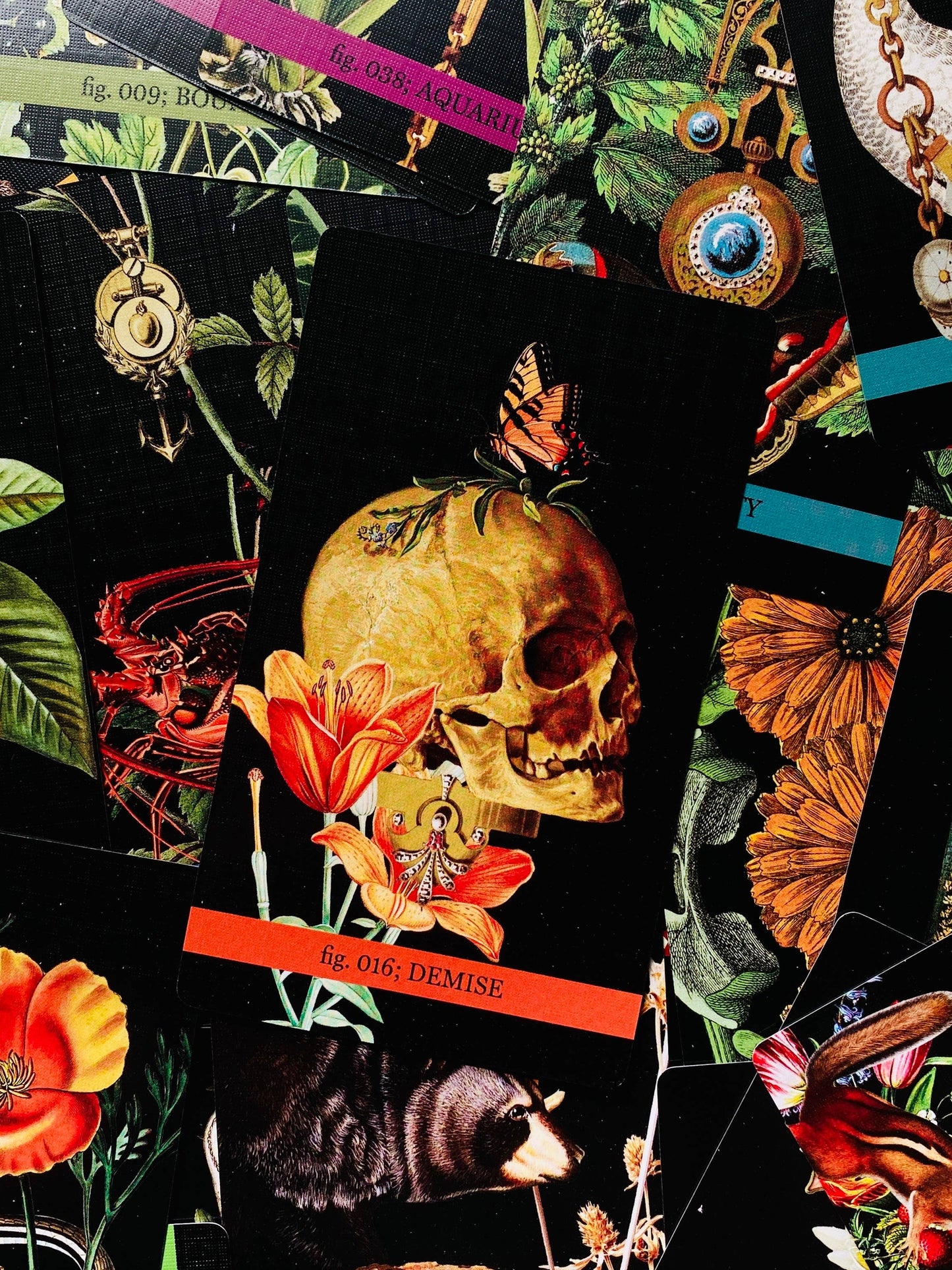 Eternal Gardens Oracle & Lenormand Deck | Botanical Tarot