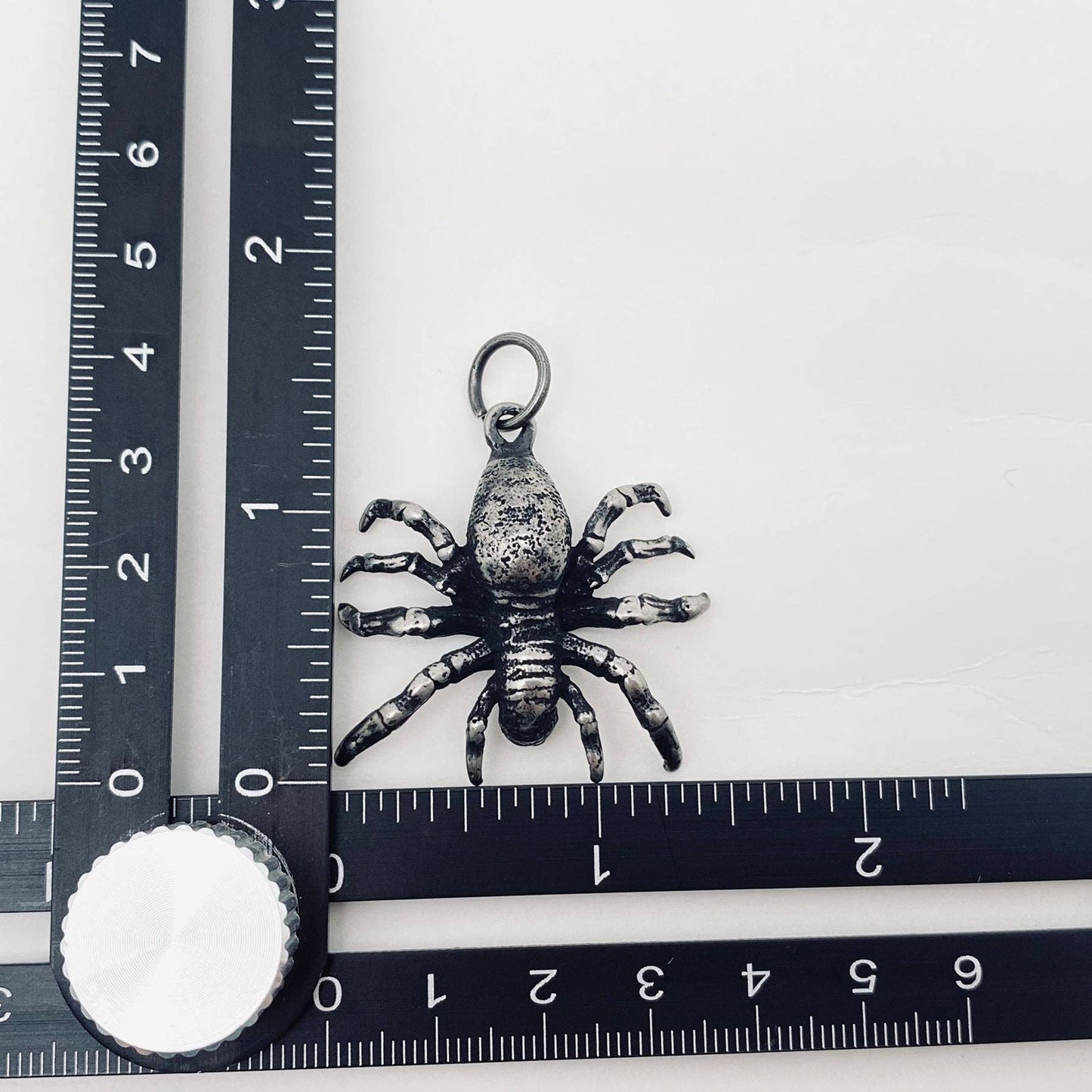 Spider Stainless Steel Pendant on Chain