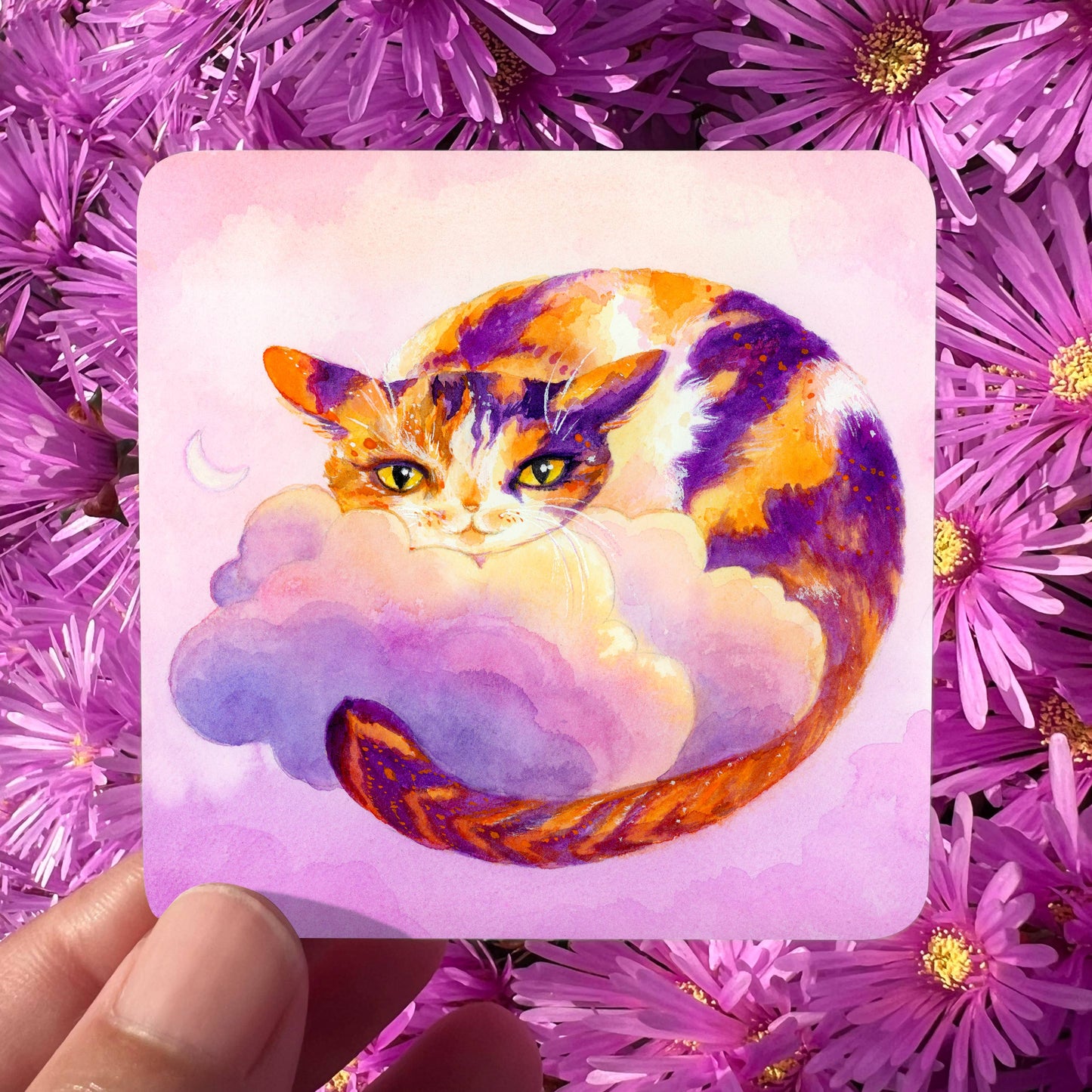 Witch Kittens Pocket Oracle Deck