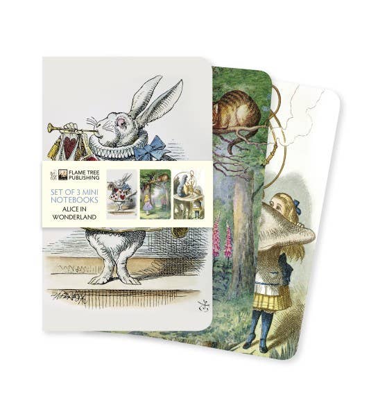 Alice In Wonderland Mini Notebook