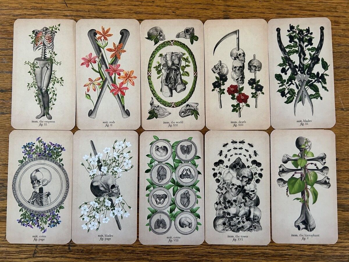 Antique Anatomy Tarot Kit