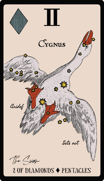 Starlore Arcana: 56 Cards & 128-Pg Book ☆ Astrology Deck