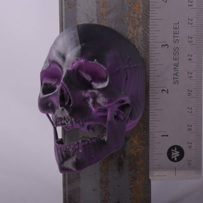 Medusa Magnet Monster Head