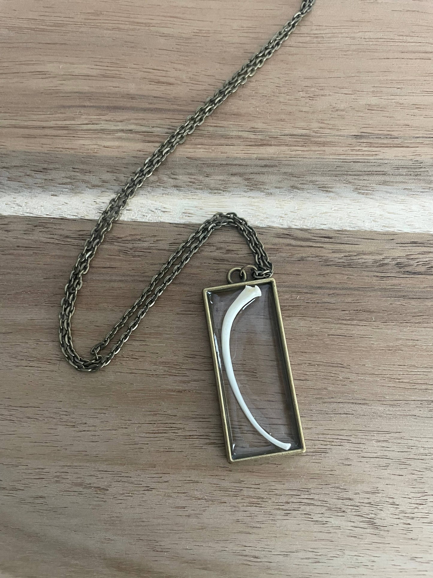 Oddity Necklace 🦴 Ball Python Rib Bone