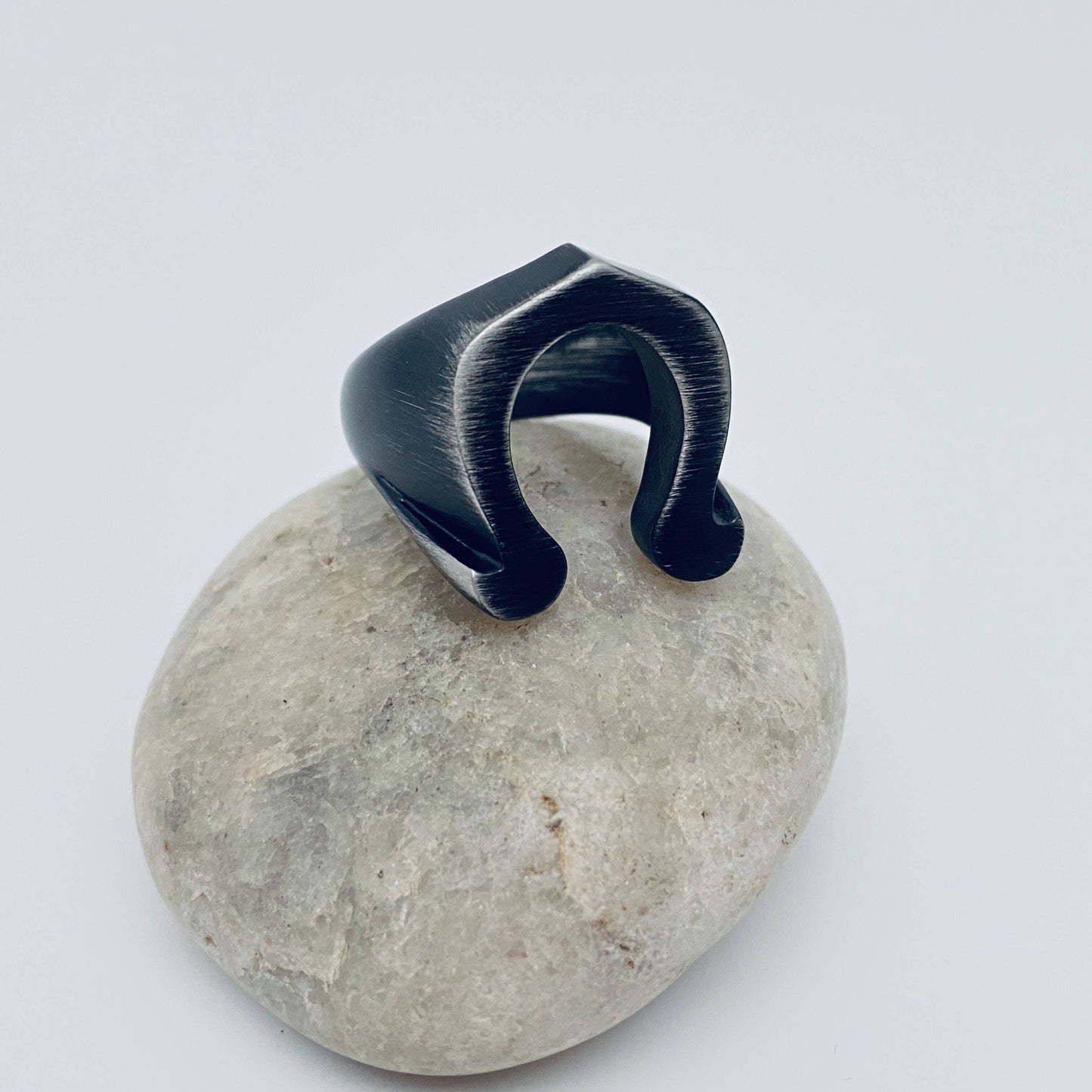 Horseshoe Stainless Steel Ring