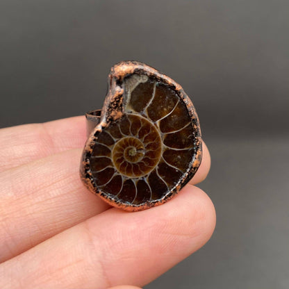 Ammonite Ring - Copper Electroformed