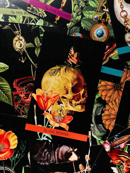 Eternal Gardens Oracle & Lenormand Deck | Botanical Tarot