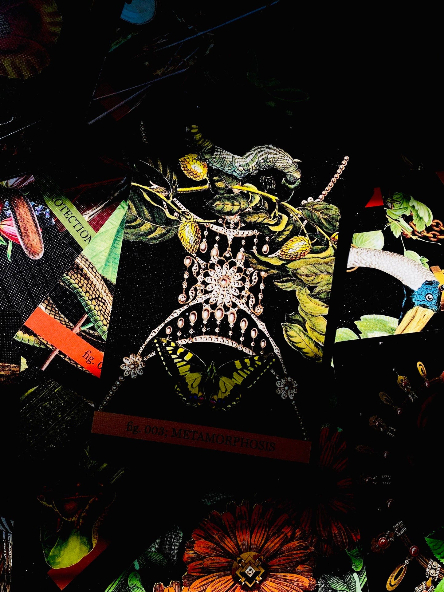 Eternal Gardens Oracle & Lenormand Deck | Botanical Tarot