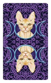 Tarot of Pagan Cats Mini Deck