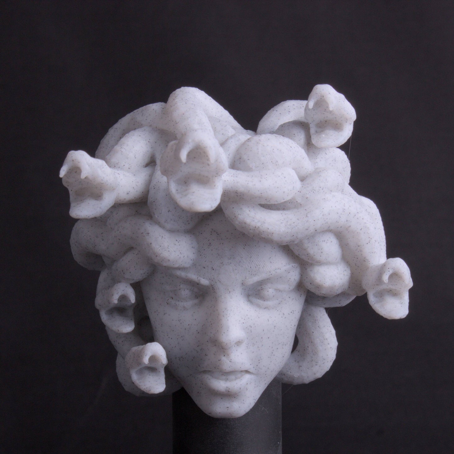 Medusa Magnet Monster Head