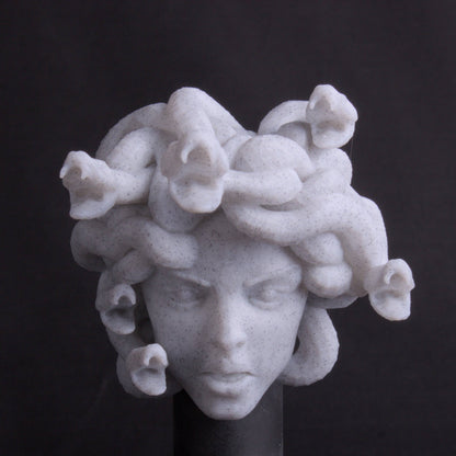 Medusa Magnet Monster Head