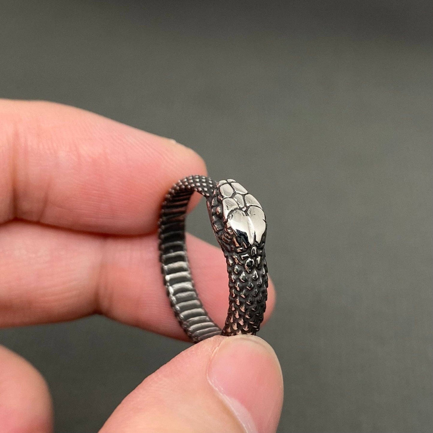Ouroboros Unisex Stainless Steel Snake Ring