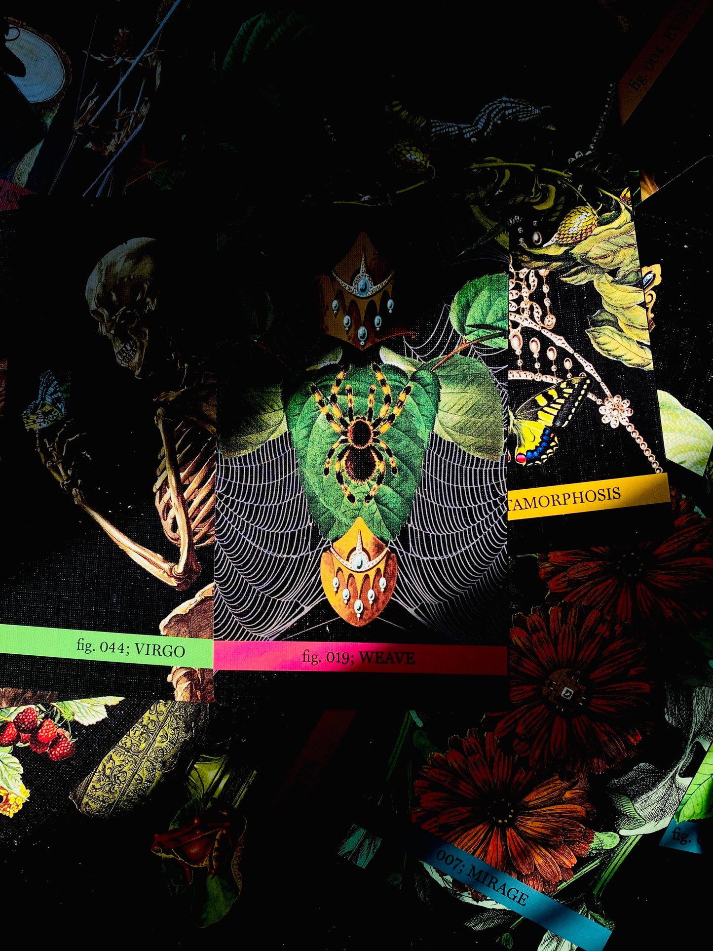 Eternal Gardens Oracle & Lenormand Deck | Botanical Tarot