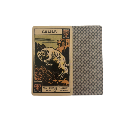 Astrological Tarot Deck with Guidebook