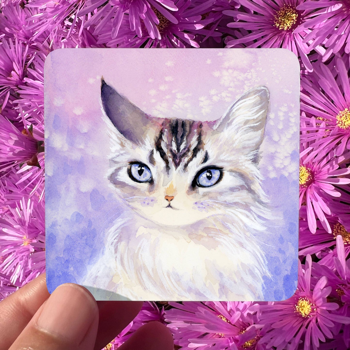 Witch Kittens Pocket Oracle Deck