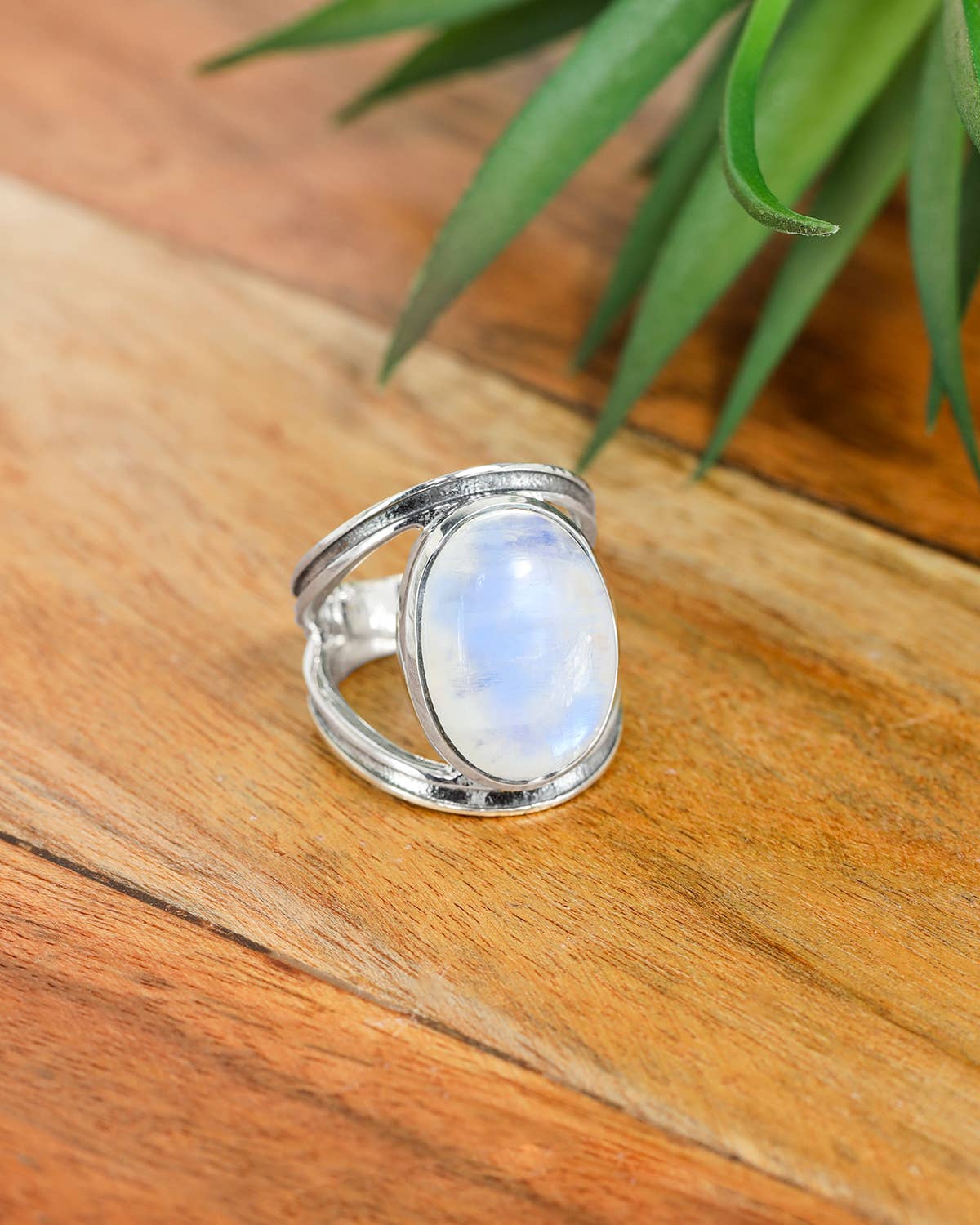925 Silver Rainbow Moonstone Lunaria Arc Statement Ring