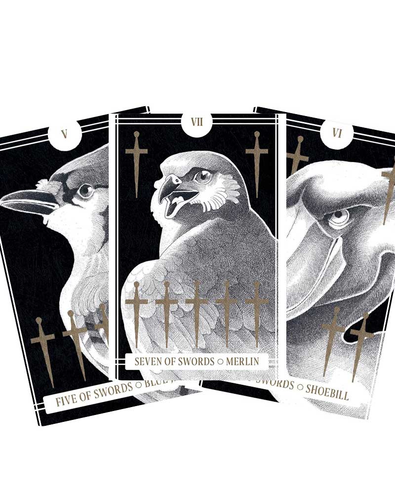 Avian Tarot