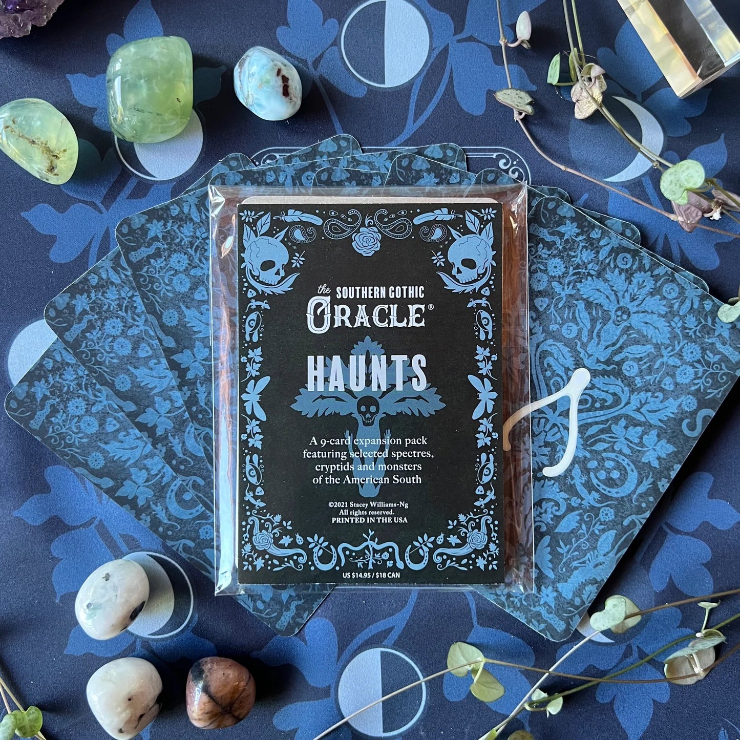 The HAUNTS Expansion Pack - La Panthére Studio (Southern Gothic Oracle)