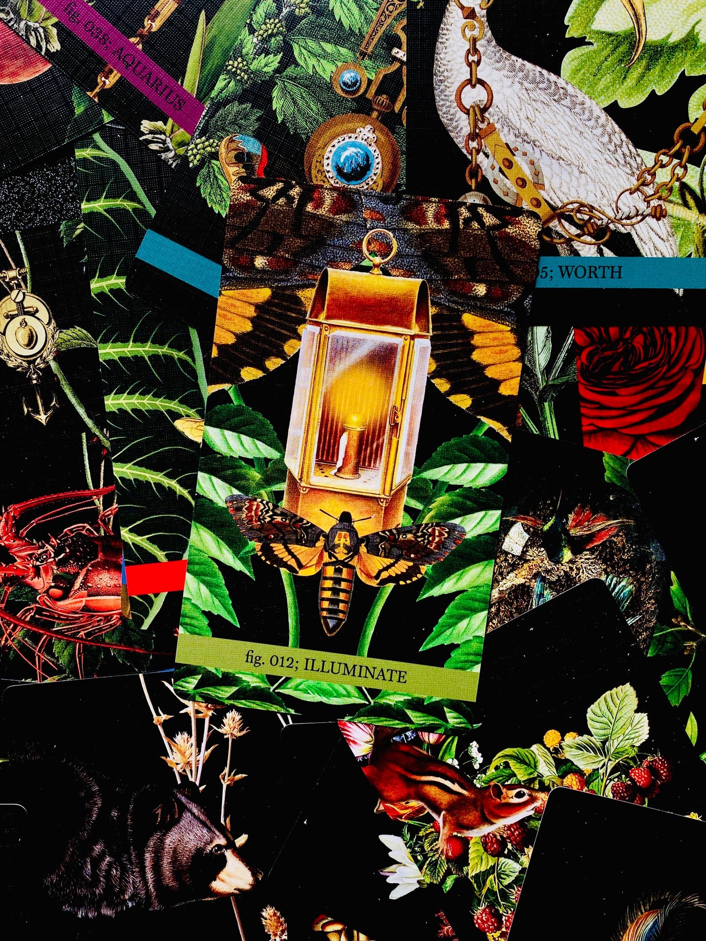Eternal Gardens Oracle & Lenormand Deck | Botanical Tarot