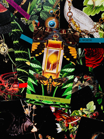 Eternal Gardens Oracle & Lenormand Deck | Botanical Tarot