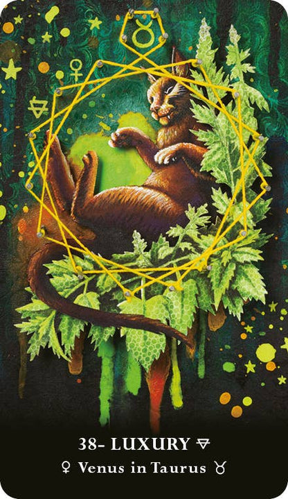 The MicroCosmic Oracle