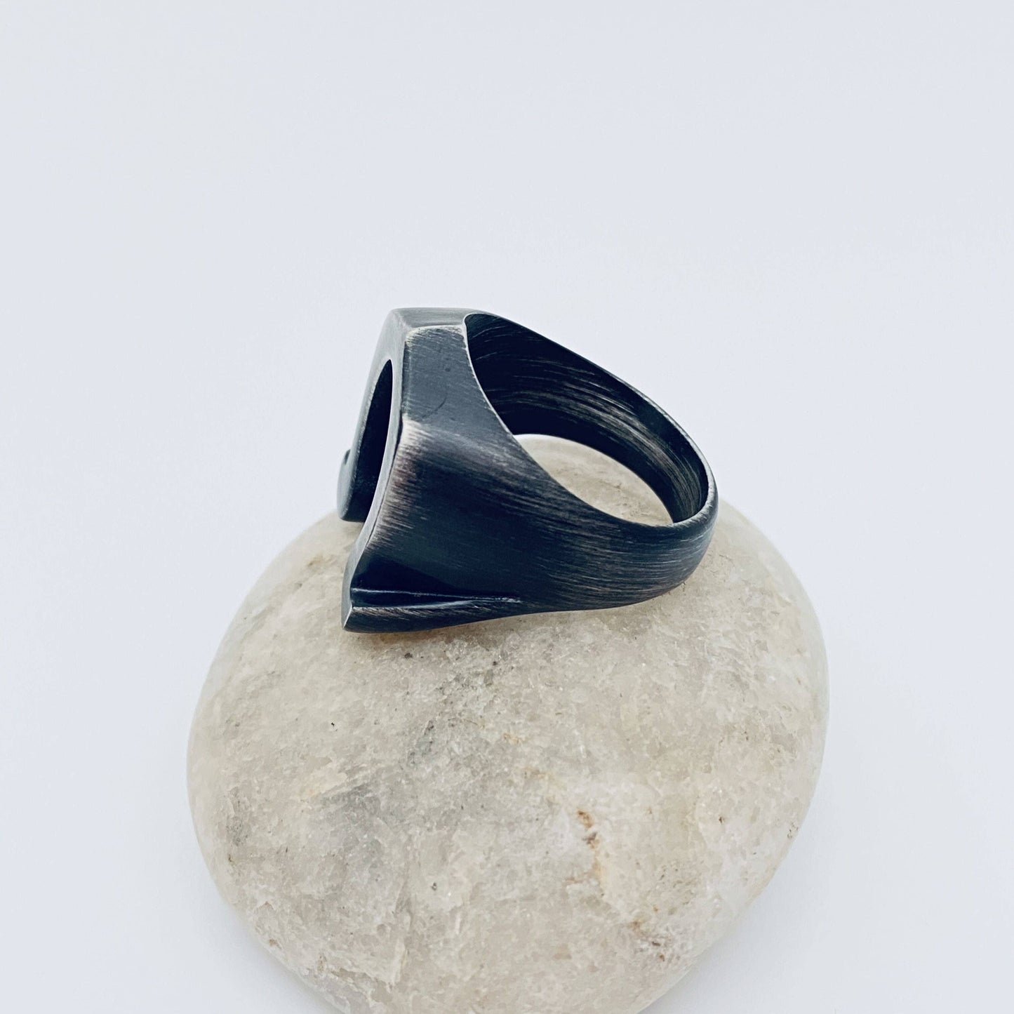 Horseshoe Stainless Steel Ring