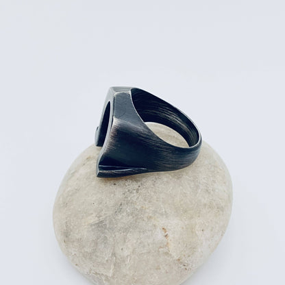 Horseshoe Stainless Steel Ring