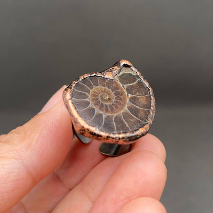 Ammonite Ring - Copper Electroformed
