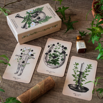 Black and the Moon Bundle: Antique Anatomy Tarot + Memento Mori Oracle