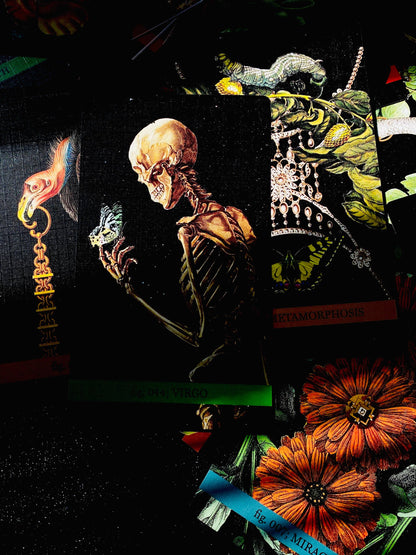 Eternal Gardens Oracle & Lenormand Deck | Botanical Tarot