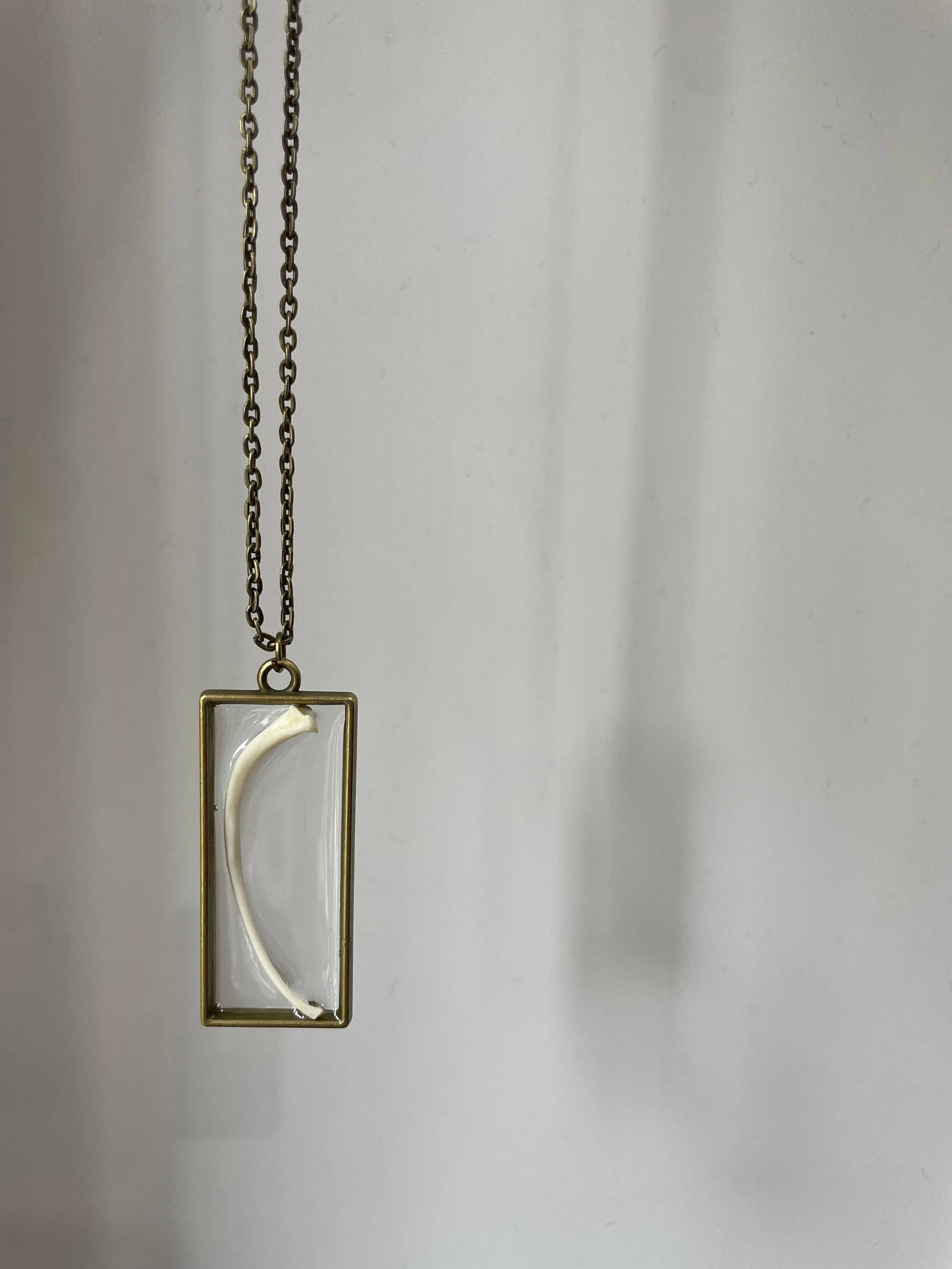 Oddity Necklace 🦴 Ball Python Rib Bone