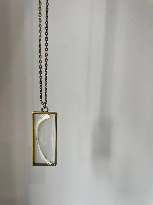 Oddity Necklace 🦴 Ball Python Rib Bone