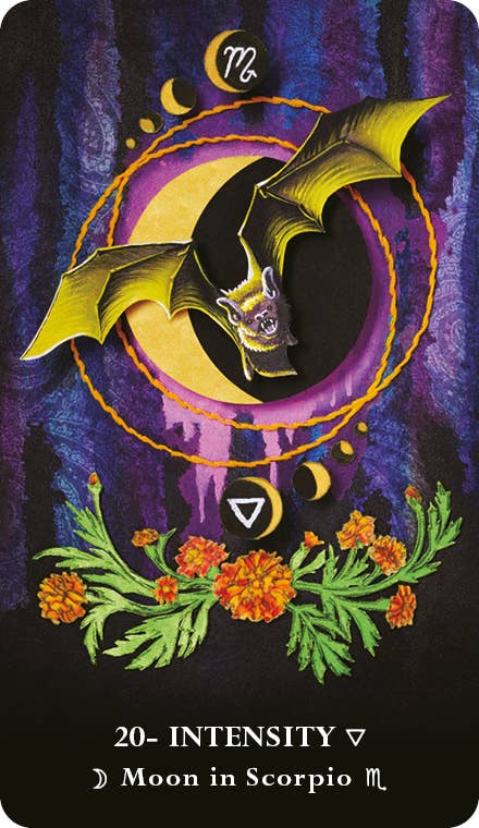 The MicroCosmic Oracle