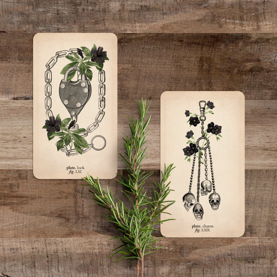 Memento Mori Oracle Deck