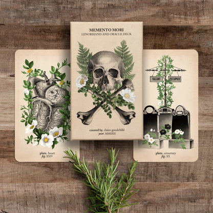 Black and the Moon Bundle: Antique Anatomy Tarot + Memento Mori Oracle