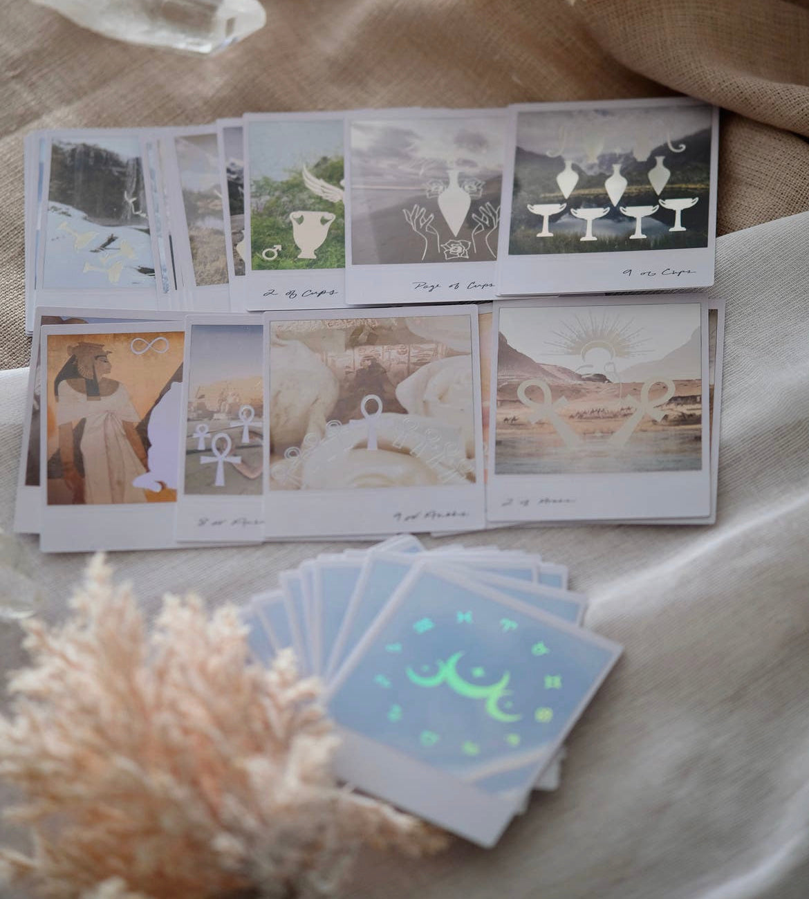 Wild Lands Tarot ☆78 Cards & 96 Page Guidebook