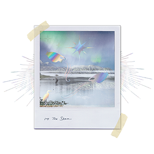 Wild Lands Tarot ☆78 Cards & 96 Page Guidebook