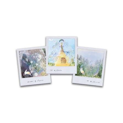 Wild Lands Tarot ☆78 Cards & 96 Page Guidebook